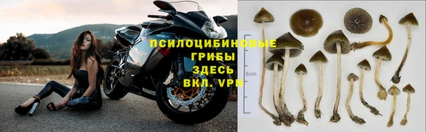 амф Баксан