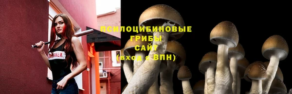 амф Баксан