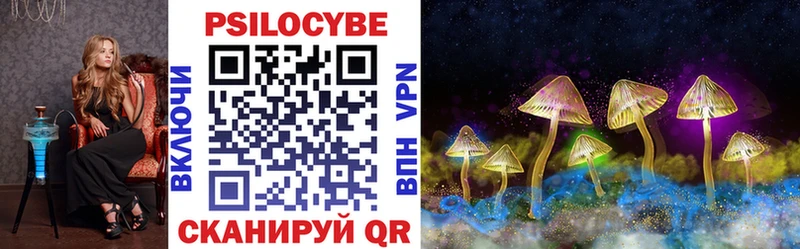 Галлюциногенные грибы Psilocybine cubensis  Кувандык 