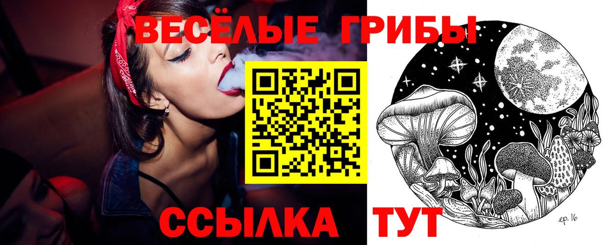 Псилоцибиновые грибы MAGIC MUSHROOMS  Псилоцибиновые грибы Psilocybine cubensis  Вход с VPN  Кувандык 